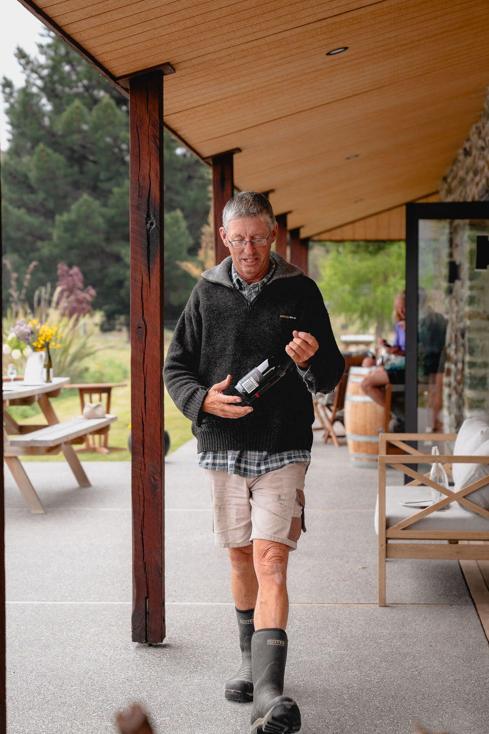 Gallery Immigrant's Vineyard