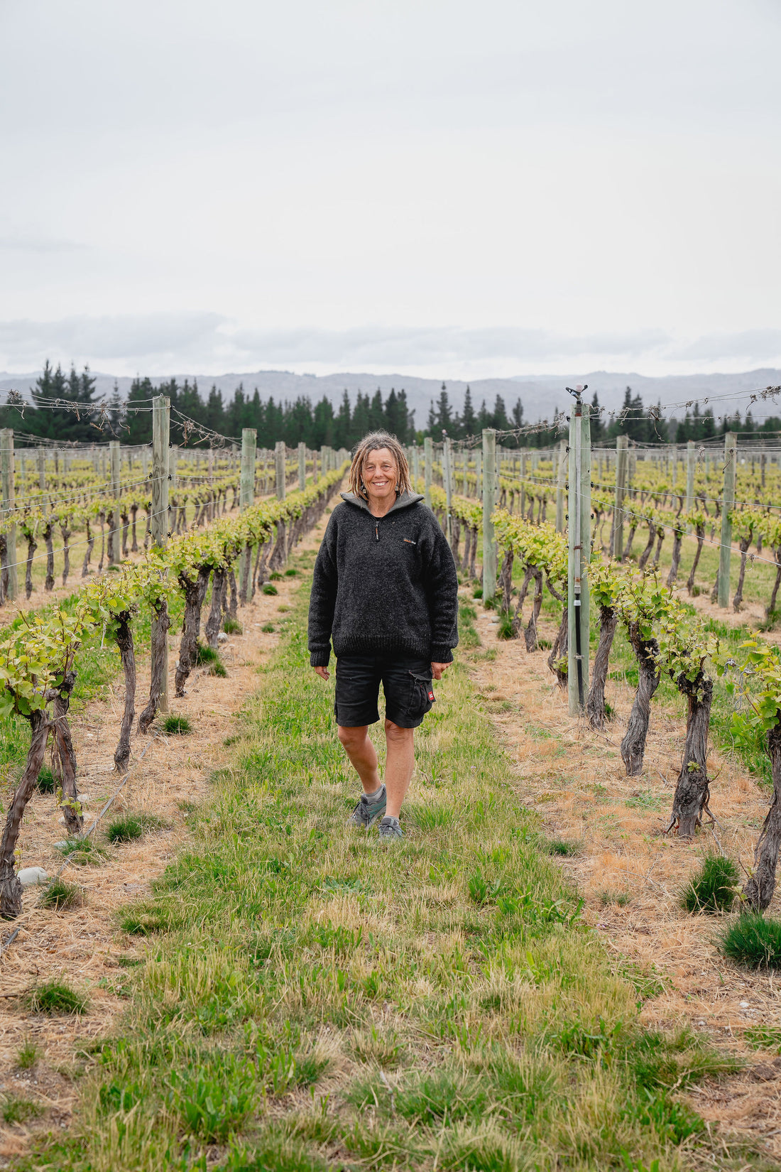 Immigrant's Vineyard Ruru Wines Meet The Wine Growers